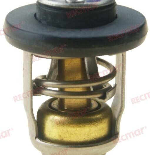 TERMOSTATO 60º Recmar REC855676002