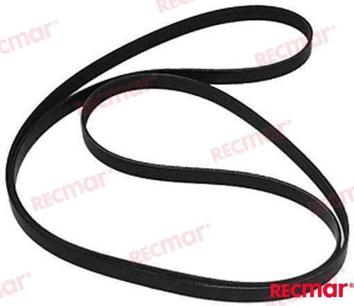 CORREA Recmar REC892318