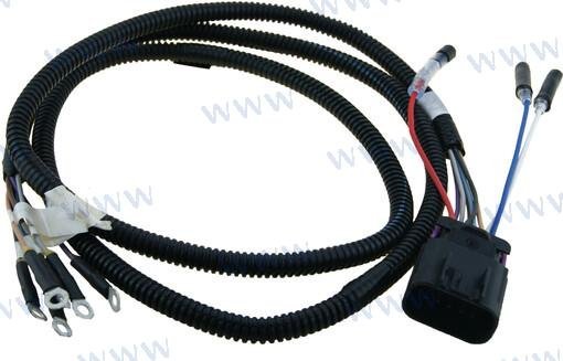 CABLEADO ADAPTADOR Mercury REC892990T01