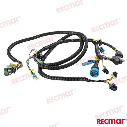 ARNÉS COM MODULE SINGLE Recmar REC893377K04