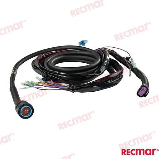 EXTENSION 15FT Recmar REC896537T15