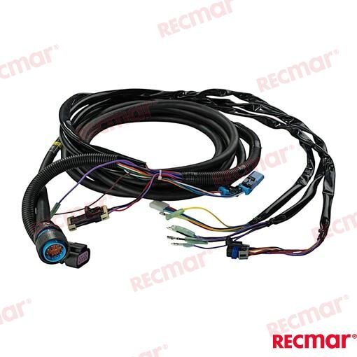 EXTENSION 20FT Recmar REC896537T20