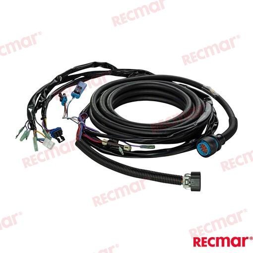 EXTENSION 24FT Recmar REC896537T24