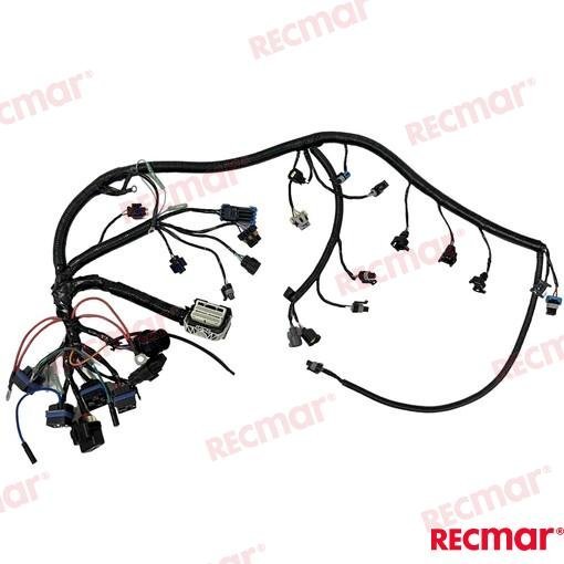 ARNÉS 70/90/115HPC Recmar REC8M0088060