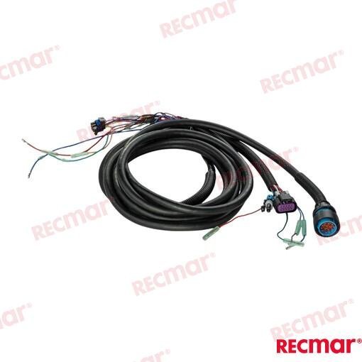 TRIM HARNESS 15FT (MOLEX) Recmar REC8M0120595
