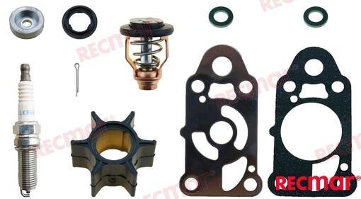 KIT MANTENIMIENTO MERCURY Recmar RECKITMER2.5