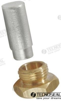 ANODO RENAULT C/TAPON 18X1