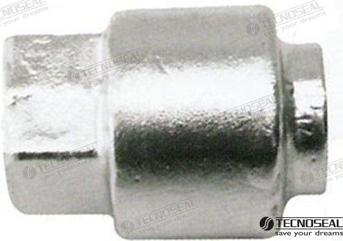 ANODO SELVA 80-100HP ZINC  TEN01914