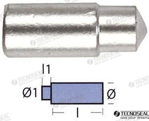 ANODO BUKH DIA 10MM TEN02053T  TEN02053