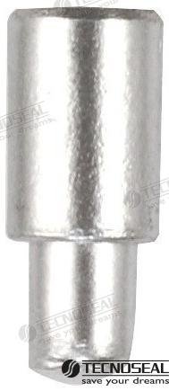 ANODO NANNI MERCEDES DIA 10MM TEN02100T  TEN02100