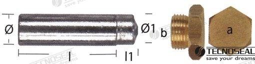 ANODO PARA LOMBARDINI ZINC Ø 15MM  TEN02353T